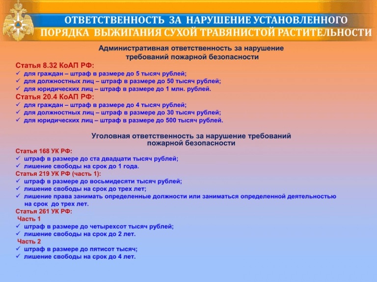 5-mcjknx-6571df42.jpg